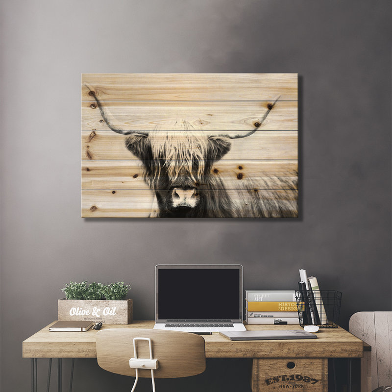 Highland Longhorn par Danita Delimont - impression sur bois sans cadre, L 26 po x H 18 po