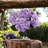 Ultra Realistic Faux Silk Hydrangea Arrangement - Artificial Flowers for Home Decor-1861655732