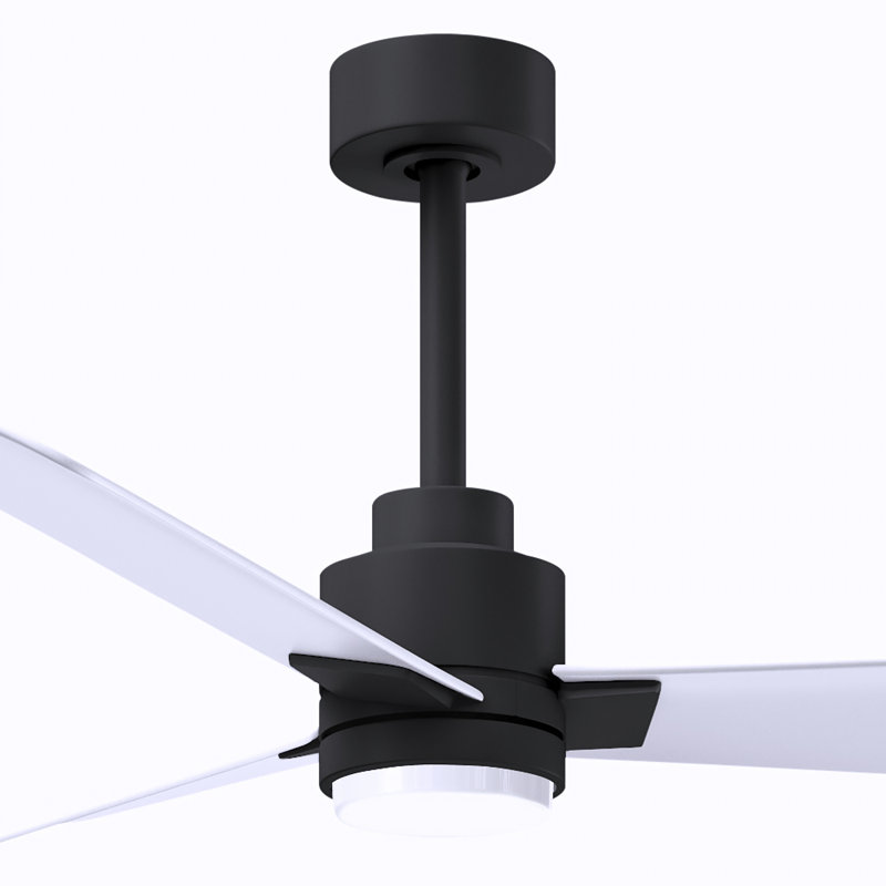 Alessandra - Three Blade Transitional Ceiling Fan -LED, Matte Black, 42", Matte White