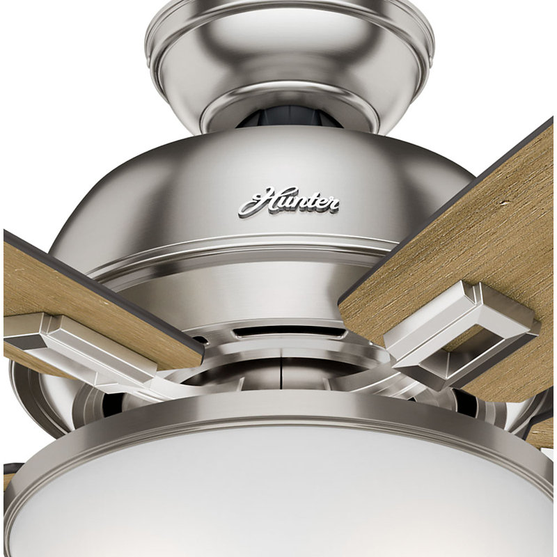 60" Donegan 5 - Blade Standard Ceiling Fan with Pull Chain and Light Kit Included, Brushed Nickel
