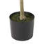 Arbre d'olive artificiel-114197428