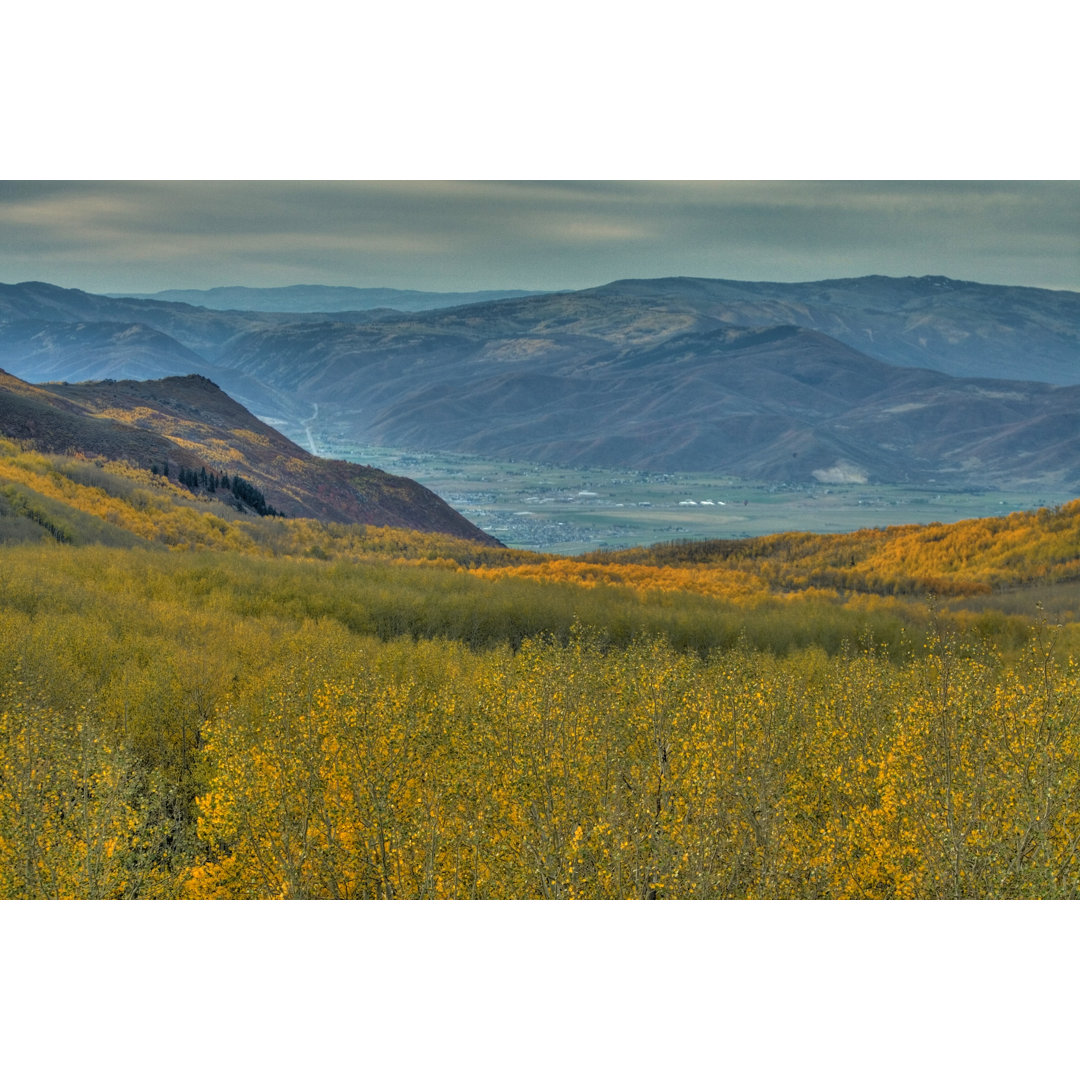 Aspens In The Heber Valley von Rhyman007 - Drucken