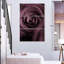 Harnek rose mauve foncé I-115147848