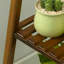 Norene Plant Stand-1579735312