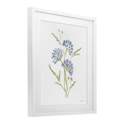 Cornflower Herb Bundle Framed Print Under Glass, design by Yvette St. Amant