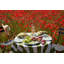 Plateau de service ovale Herman Casiano - Blanc/Vert - 40 x 28 cm-1655997520