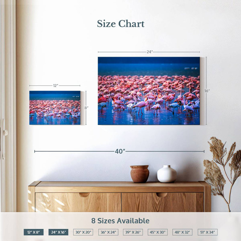 Crowle Flamingos In Water