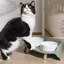 Mangeoire double pour animaux Bone China-113616400
