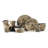 Mossy Oak 16-Piece Stoneware Dinnerware Set, Service for 4