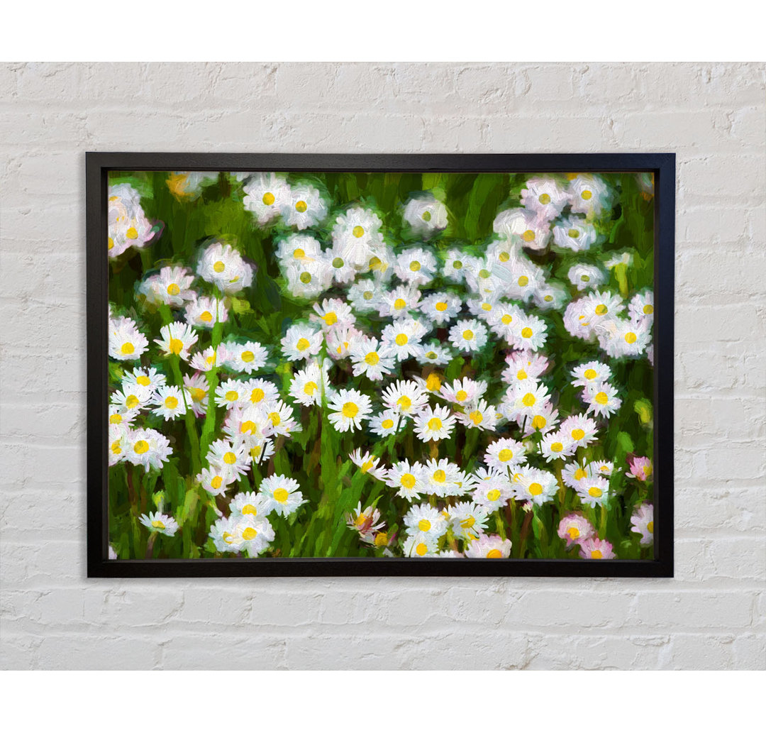 White Daisy Heaven - Einzelner Bilderrahmen Kunstdrucke auf Leinwand