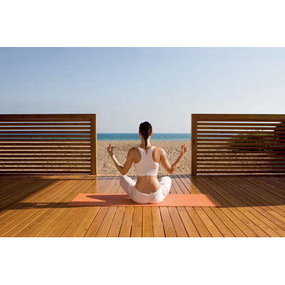 Meditation 1 Piece Wrapped Canvas Wall Art
