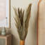 Grand feuillage naturel Cole and Grey Leaf