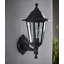 Wooten Outdoor Wall Lantern