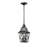 2-Light Outdoor Hanging Pendant Light