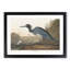 Blue Heron by John James Audubon - Picture Frame Art Print-55545460-55545461