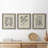 " Antique Black And White Botanical VII " 3 - Pieces-408395200-408395201