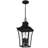 Quentin 4-Light Earth Black Outdoor Hanging Lantern