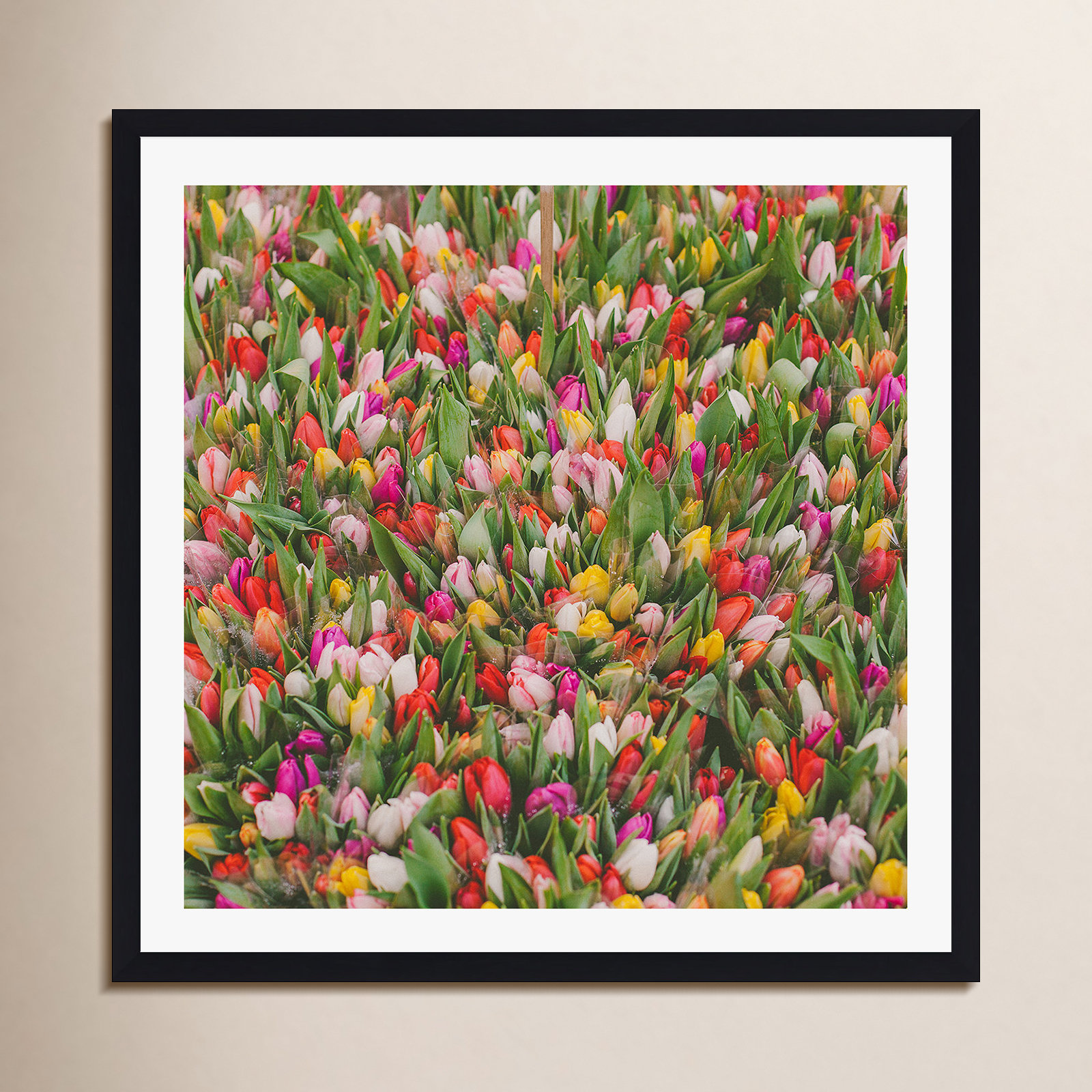 Rainbow Tulips by Hello Twiggs, Black Floater Framed, No, 12" H x 12" W x 2" D