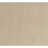 Area Rug in Beige