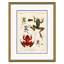 Frogs Giclee Print