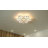 Rushawn Acrylic LED Flush Mount