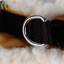 Busy Bee's Soft Harness Pet Coat M