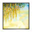 Printemps, fleurs de glycine jaunes printanières, reproduction d'art sur toile-397794018-397794020