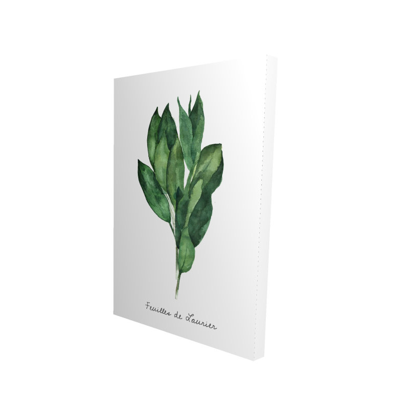 Ensemble de feuilles de laurier - Fr | Toile de cuisine alimentaire pour la décoration intérieure