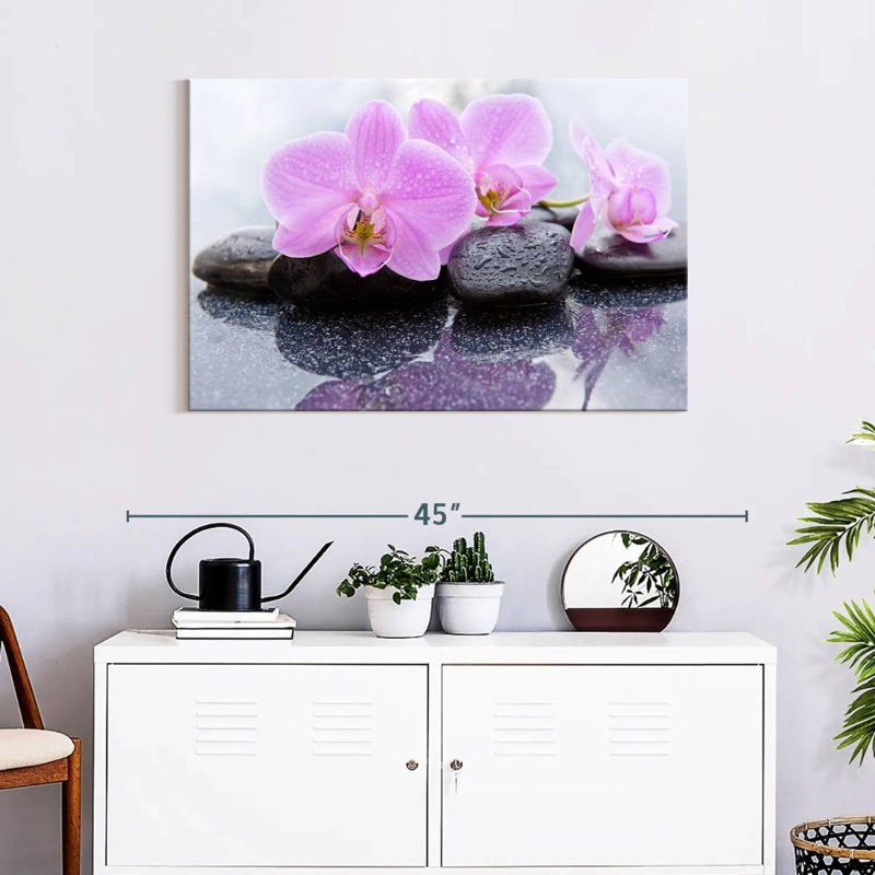 Orchidées Harnek Dewy Zen, H 24 po x l 36 po
