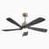 Lashyra 25.9'' Ceiling Fan with LED Lights