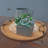 Wyneken Wood Tray