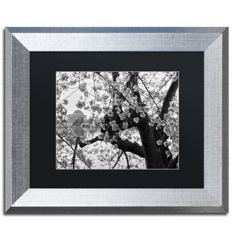 «Blossoms BW» par Caliel, reproduction de photo encadrée, H 16 po x l 20 po x P 0,5 po, Argent, Noir
