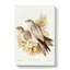 Grey Falcons by Elizabeth Gould - Wrapped Canvas-55359683