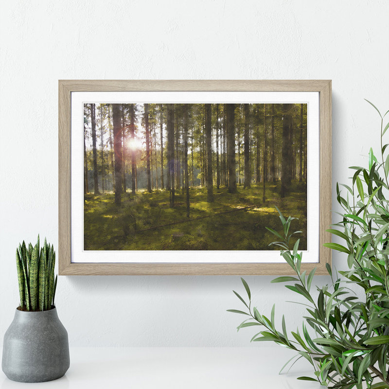 Sunlight Forest Vol.2 - Picture Frame Painting, 27cm H x 36cm W x 2cm D, Oak Framed
