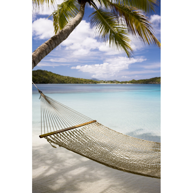 Hammock and Palm Tree by Cdwheatley, 48" H x 32" W