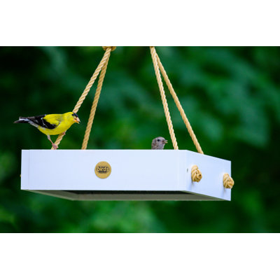 Mangeoire d'oiseaux Birds Choice