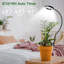 Naomi Grow Light