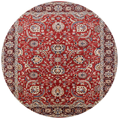 Avedik Oriental Red/Ivory/Gray Area Rug