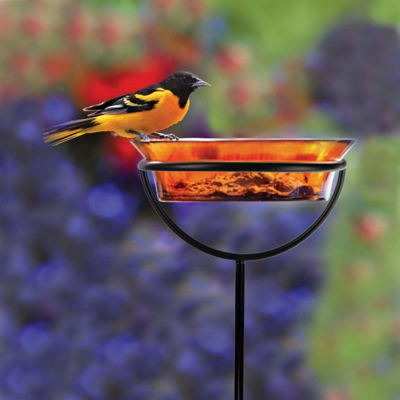 Dareen Glass Water Resistant Pole Tray Bird Feeder, Orange