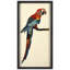 « tropical perroquet », impression