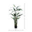 Elspeth 5.5' Faux Water Canna in Liner