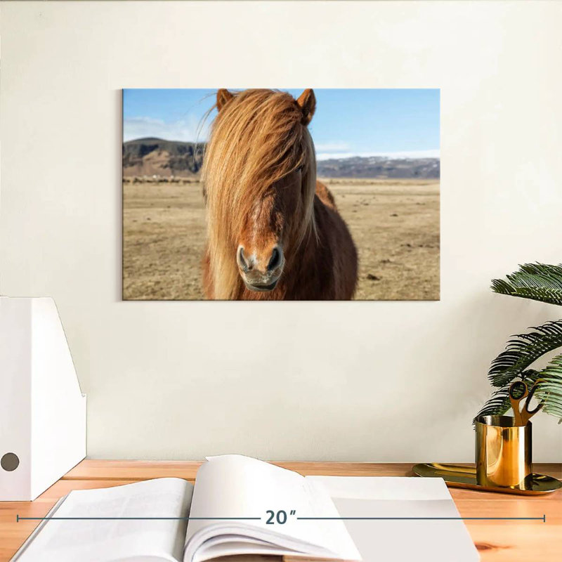 Chevaux Islandais dans la campagne VII, H 8 po x l 12 po