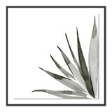 Agave I Print by Jess Engle