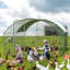 Geraud Chicken Run with Wire Mesh-410471988
