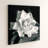 "Gardenia" by Debra VanSwearingen, Fine Art Flower Photograph on Gallery Canvas-594573447-654801872-624864758