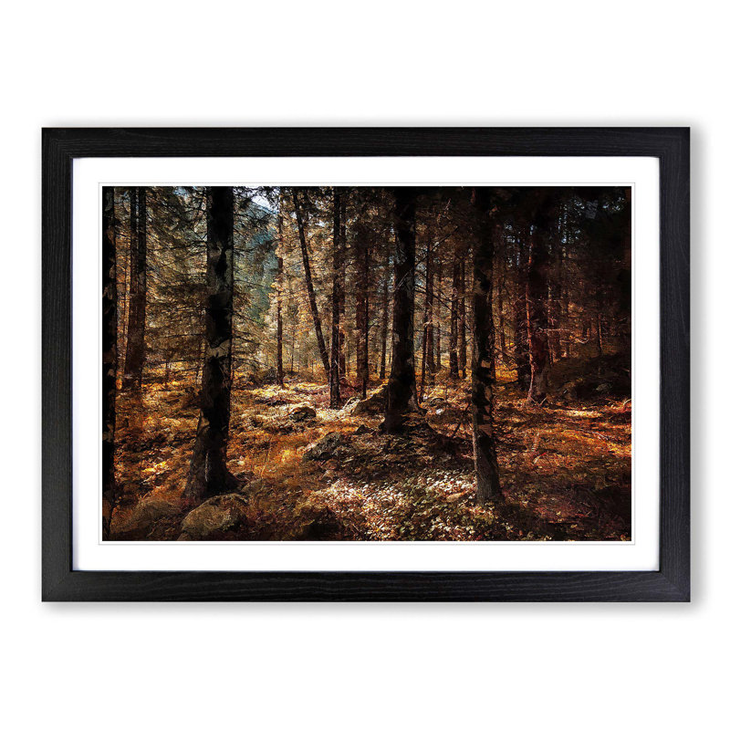 Within the Woods - Framed Print, 36cm H x 48cm W x 2cm D, Black Framed
