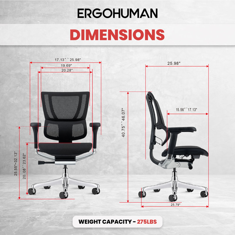 Ergohuman Xtreme Lo Back, Black