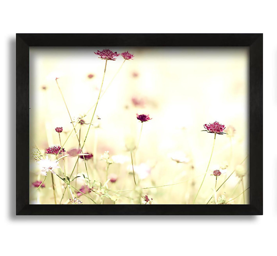 Gerahmtes Leinwandbild Wildflowers In Stunning Sunlight