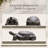 Turtle Garden Statue