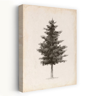 Into The Woods Trees II V2 Abstract Contemporary Pine Tree Landscape Nature Wall Art Print